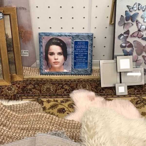 45 WTF Things Found In Thrift Stores (45 photos)