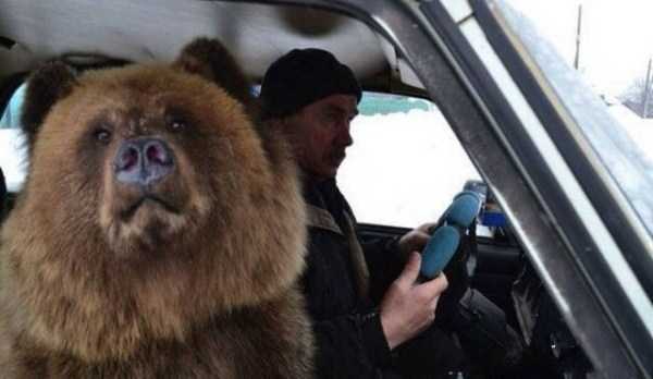 45 WTF Photos From The Planet Russia