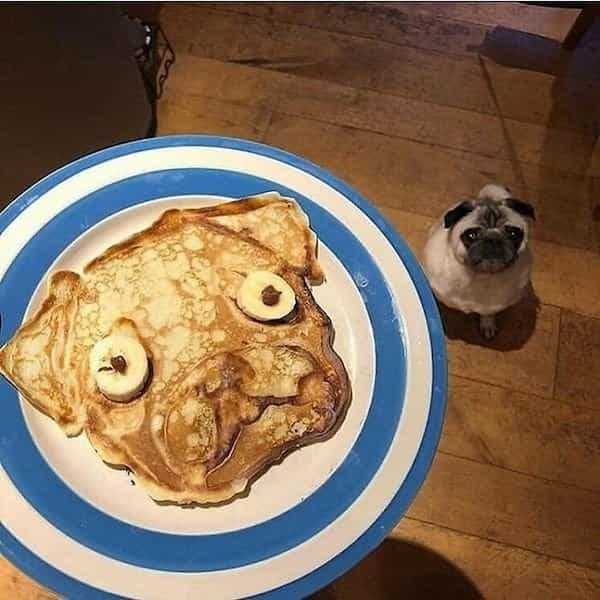 funny food creations 21