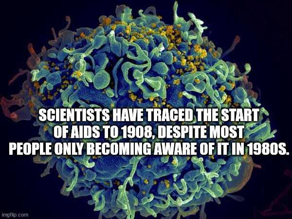 cool facts 21 1