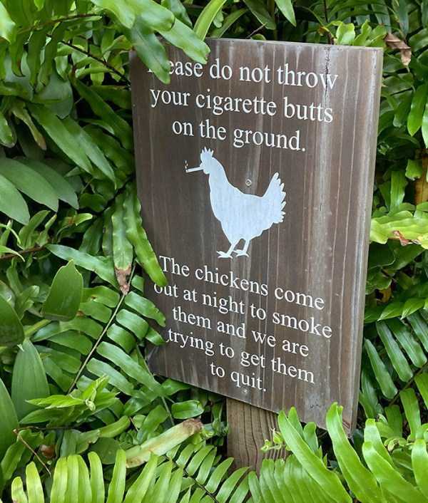 funny signs 46