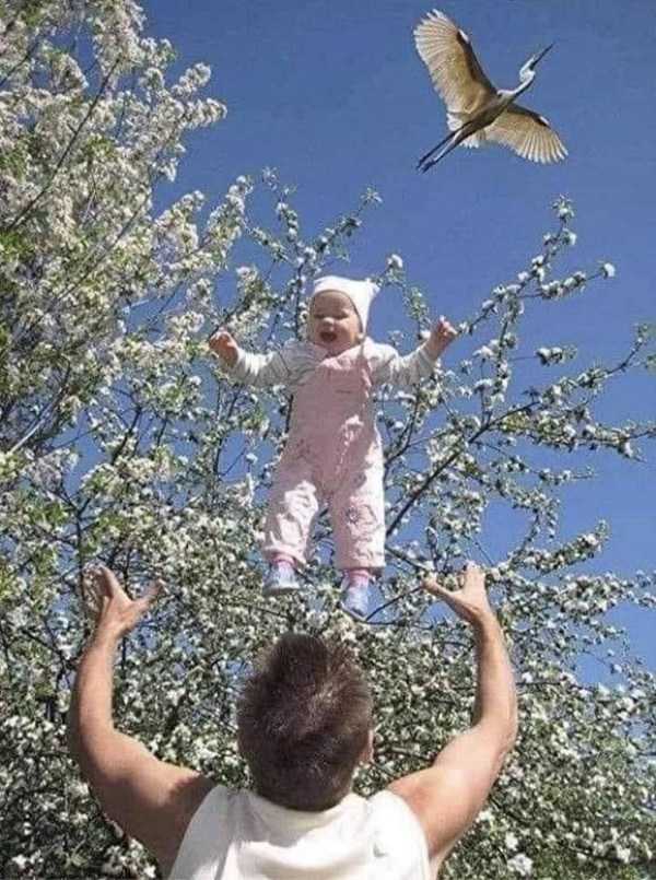 34 Perfectly Timed Photos