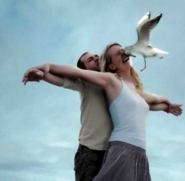 perfectly timed pics 9