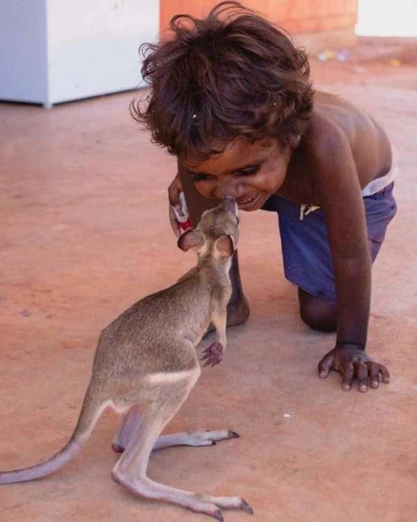 awesome pics 8 awesome pics 8