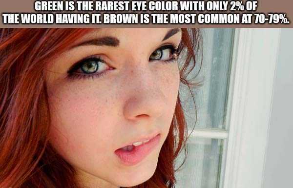 fun facts 39 It’s Time For Some Cool And Interesting Facts #242 (42 photos)