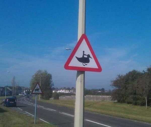 funny signs 25