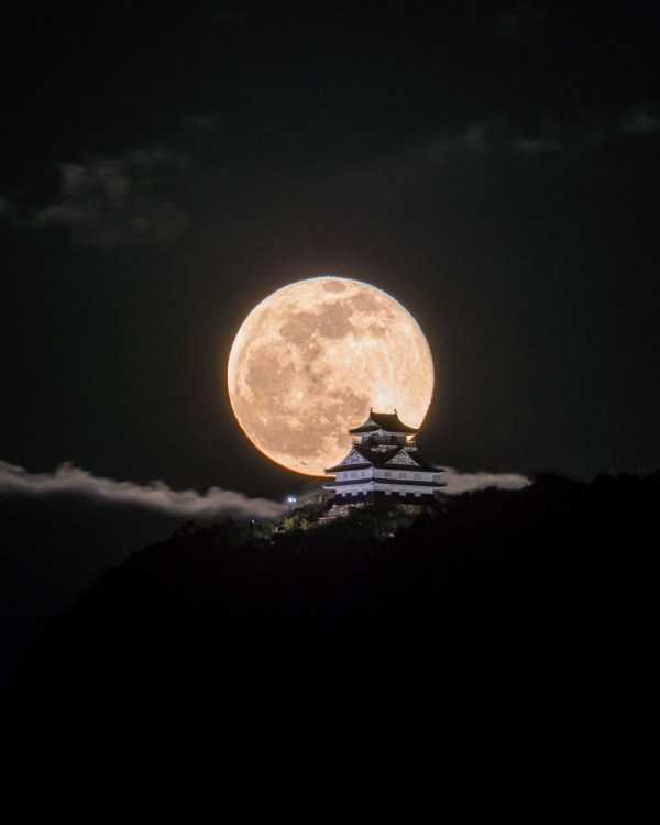 37 Nothing But Awesome Pics (37 photos)