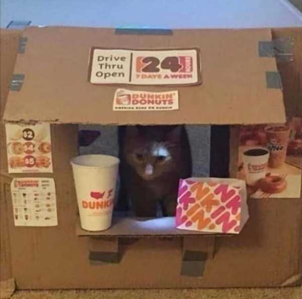 37 Nothing But Awesome Pics (37 photos)