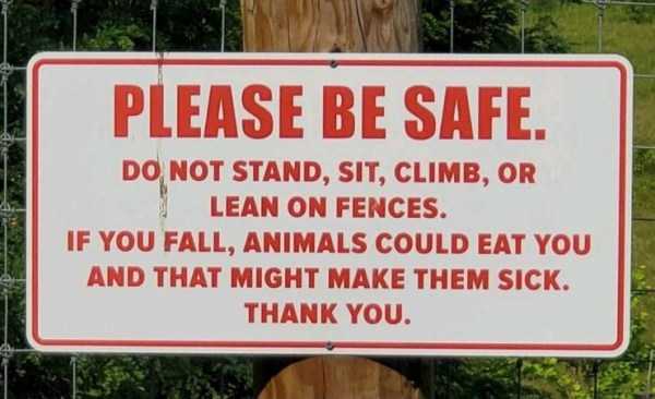 40 Funny Signs (40 photos)
