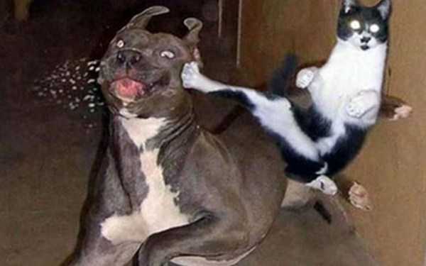 Klyker Picdump (60 photos)