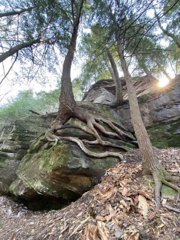 Klyker Picdump (55 photos)