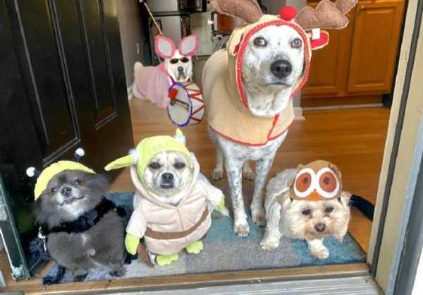 Klyker Picdump (55 photos)