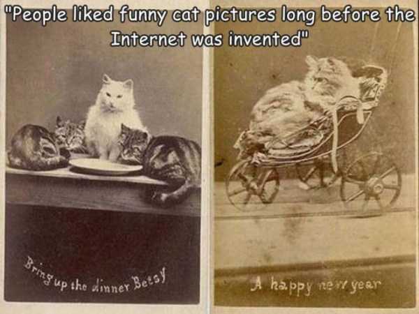 Klyker Picdump (55 photos)