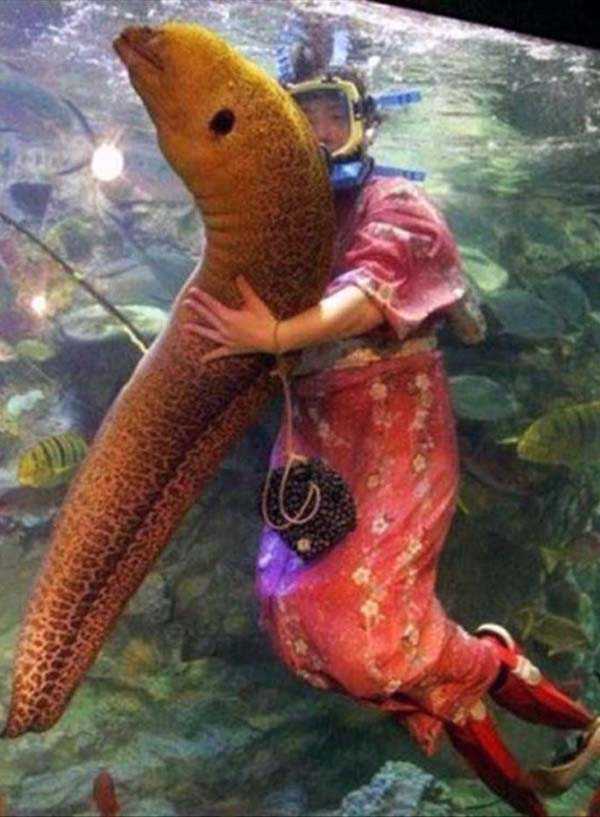 Klyker Picdump (55 photos)