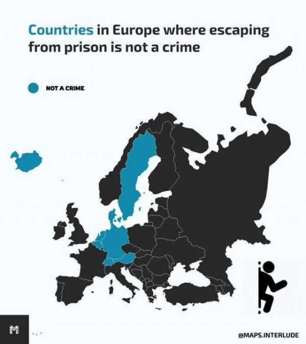 32 Random Charts (32 photos)