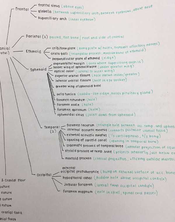 39 Examples Of Incredibly Cool Handwriting (39 photos)