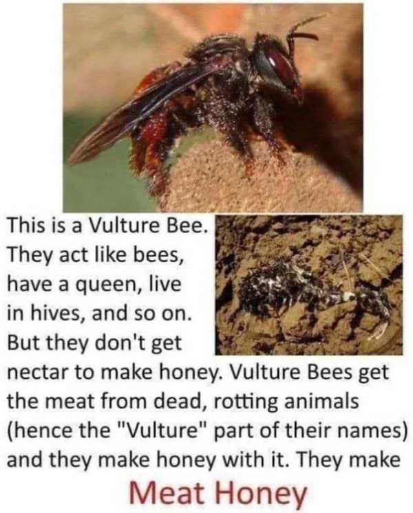 43 Funny Pics And Memes (43 photos)