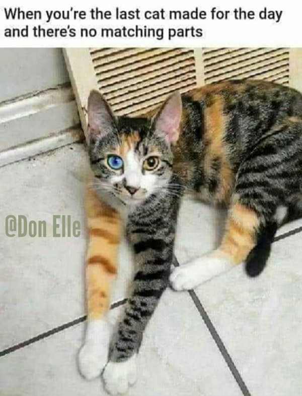 43 Funny Pics And Memes (43 photos)