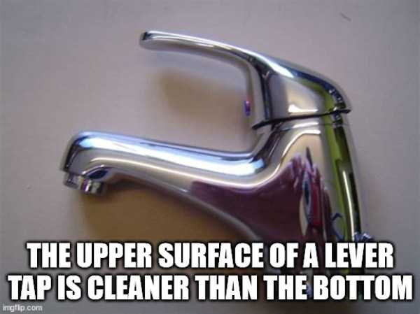 48 More Deep Shower Thoughts (48 photos)