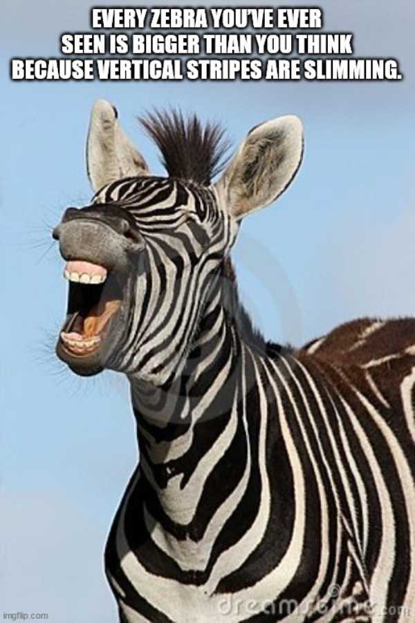 50 More Deep Shower Thoughts (50 photos)