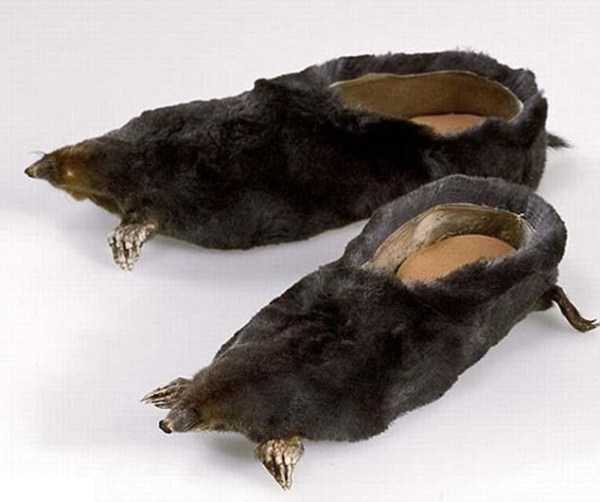 wtf taxidermy 33 Ridiculous Taxidermy (35 photos)