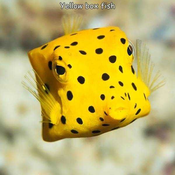 funny captions 7 1 43 Random Pictures With Captions (43 photos)