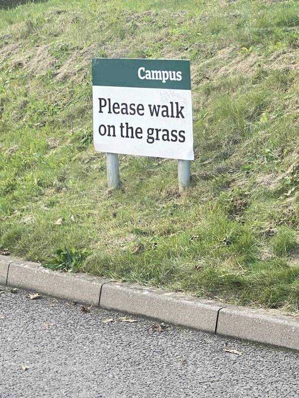 35 Funny Signs (35 photos)