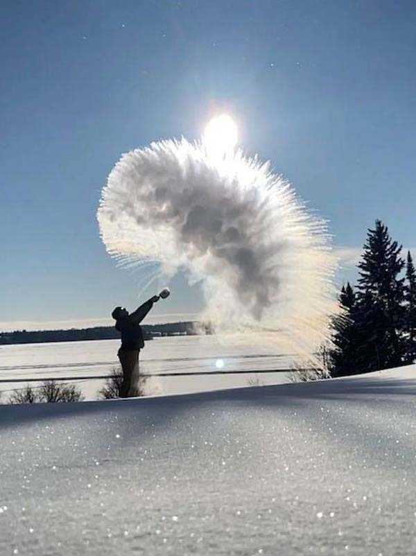 35 Perfectly Timed Photos