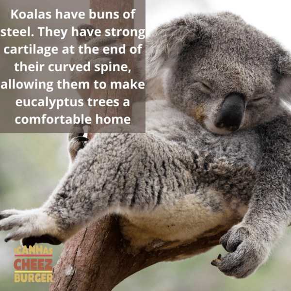 It’s Time For Some Cool And Interesting Facts #258 (50 photos)