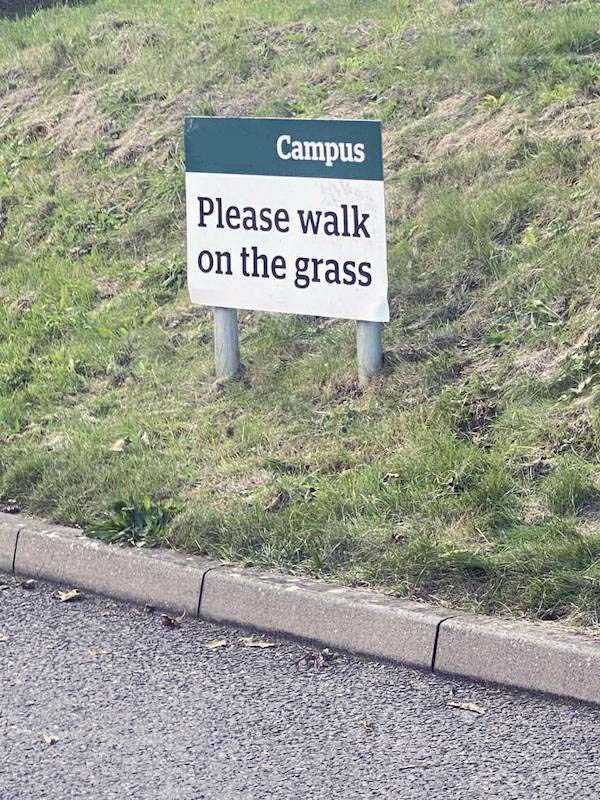 37 Funny Signs (37 photos)