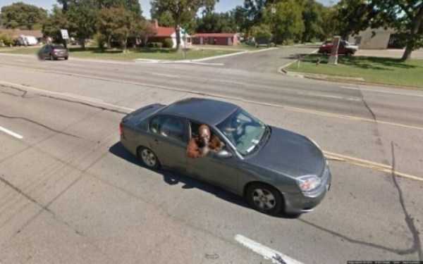 48 Odd Google Street View Finds (48 photos)