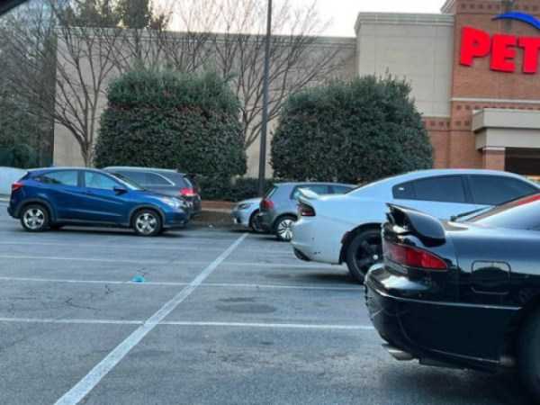 parking morons 18