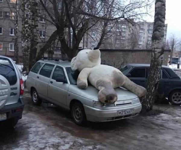 37 More WTF Photos From The Planet Russia