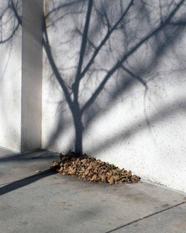 funny coincidences 1 1