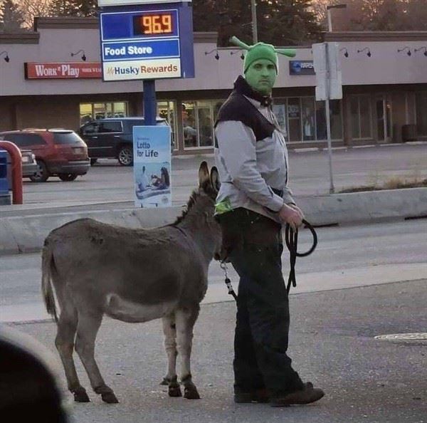 klyker picdump funny pics 11 8 Klyker Picdump (64 photos)