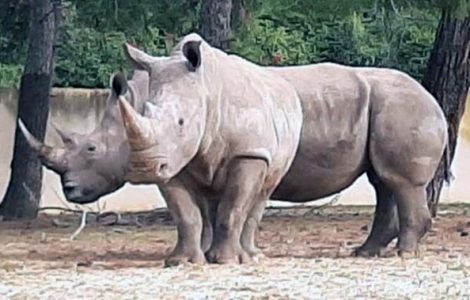 General Studies on Minerals