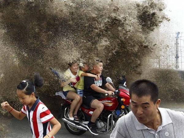 41 Perfectly Timed Photos