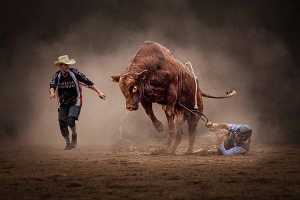 41 Perfectly Timed Photos