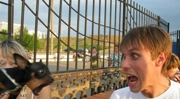 41 Perfectly Timed Photos