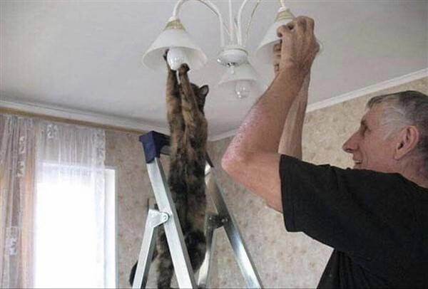 klyker picdump funny pics 26 2