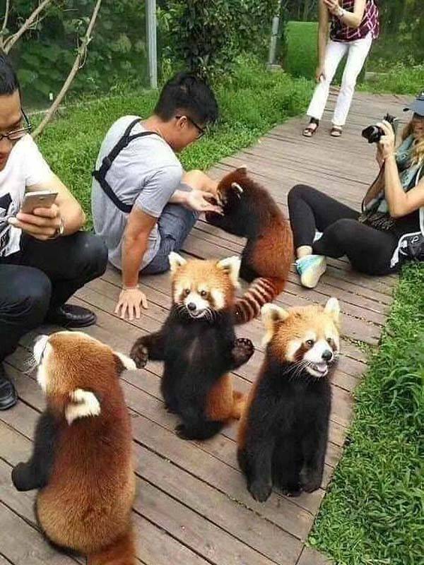 klyker picdump funny pics 4 3