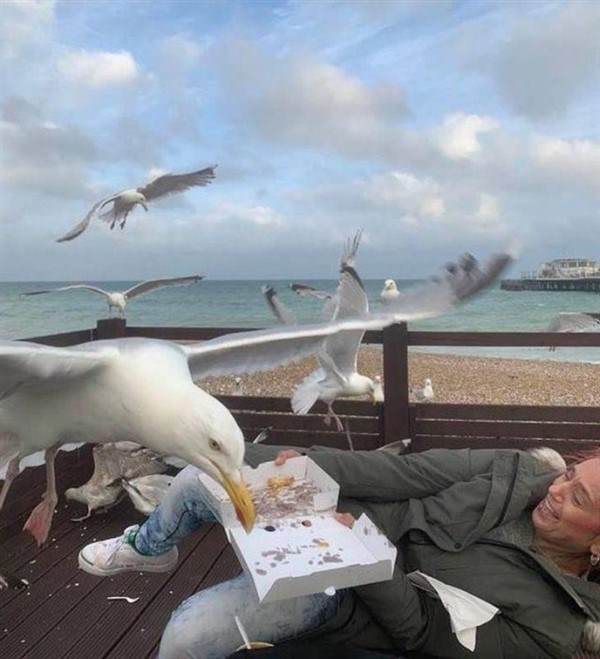 perfectly timed photos 19 1