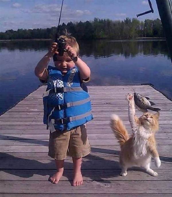perfectly timed photos 27 1