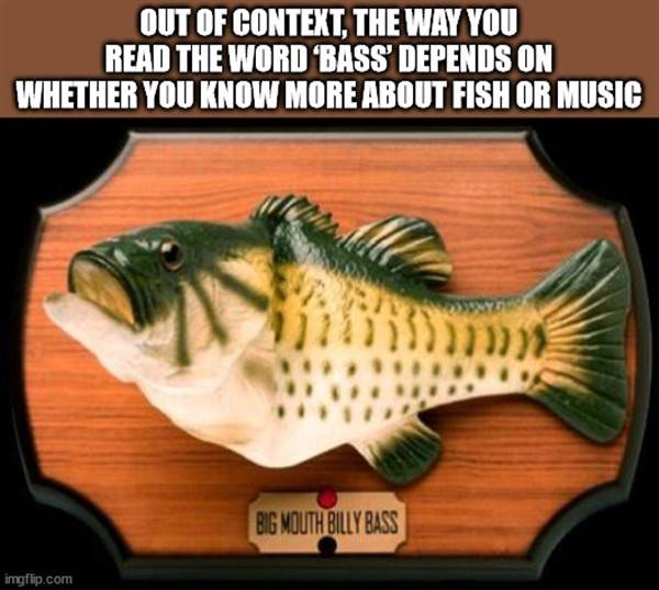 shower thoughts 21