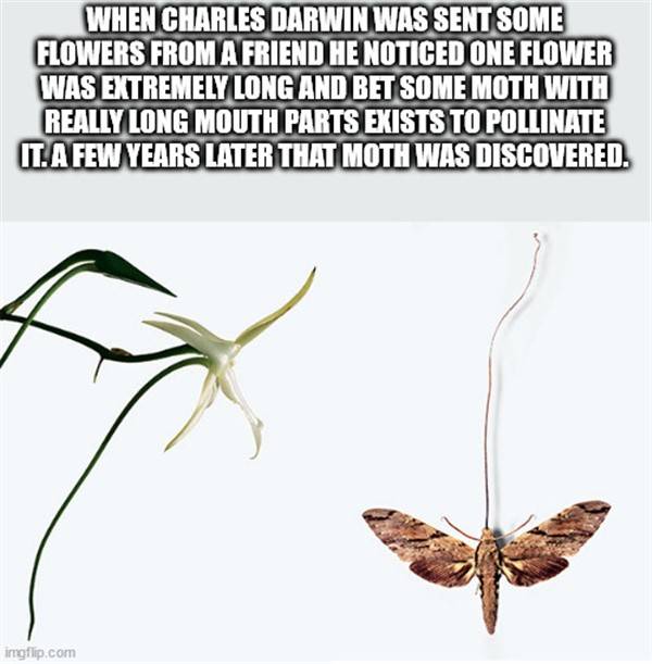 It’s Time For Some Cool And Interesting Facts #279 (41 photos)