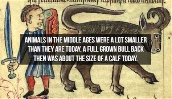 It’s Time For Some Cool And Interesting Facts #276 (46 photos)