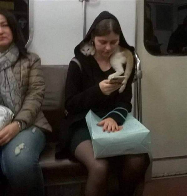 klyker picdump funny pics 44 2