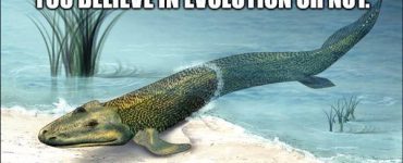 shower thoughts 25
