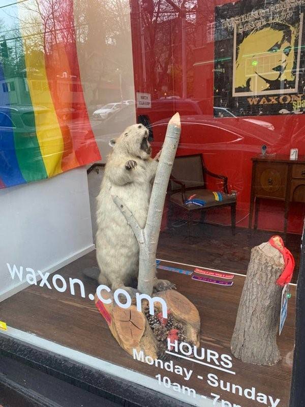 terrible taxidermy 14