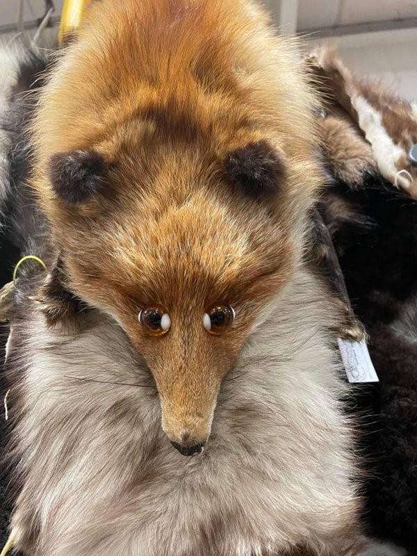 terrible taxidermy 8